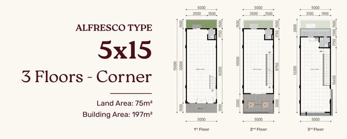 Layout Tipe Alfresco Corner 5x15 3 Lantai